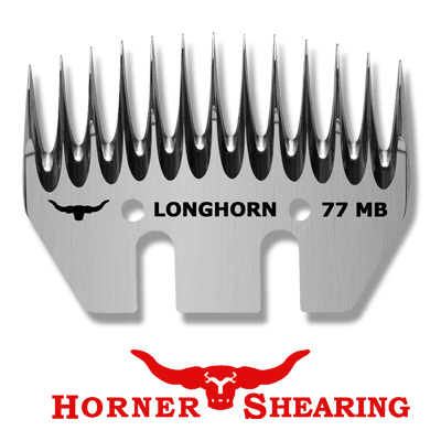 longhorn-1